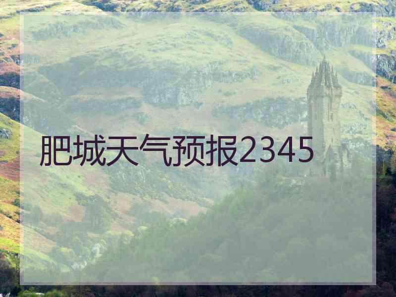肥城天气预报2345