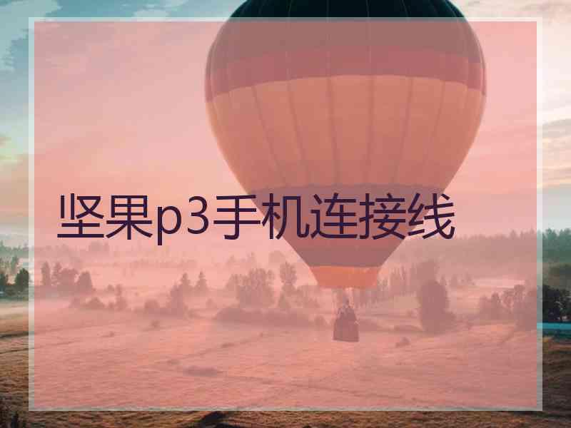 坚果p3手机连接线