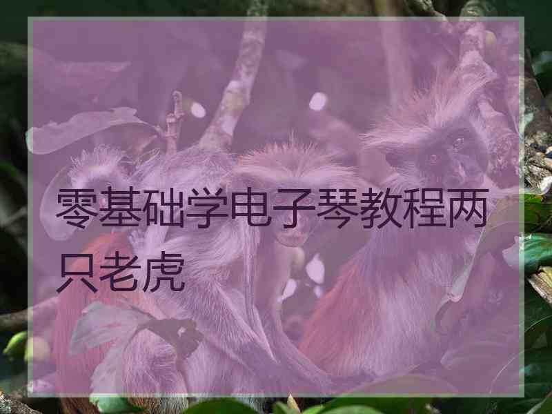 零基础学电子琴教程两只老虎