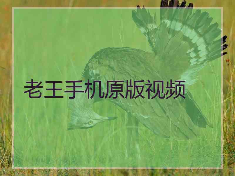 老王手机原版视频