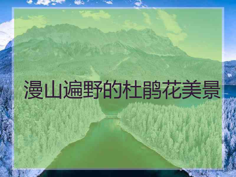 漫山遍野的杜鹃花美景