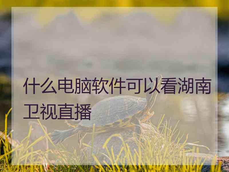 什么电脑软件可以看湖南卫视直播