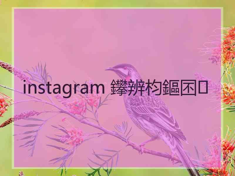 instagram 鑻辨枃鏂囨
