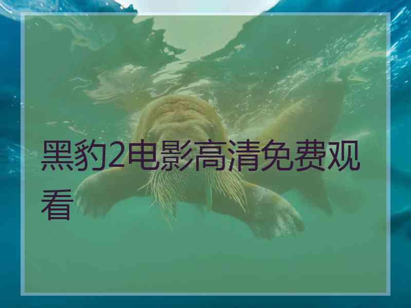 黑豹2电影高清免费观看