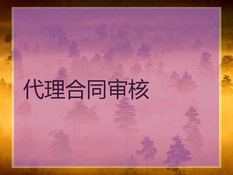 代理合同审核