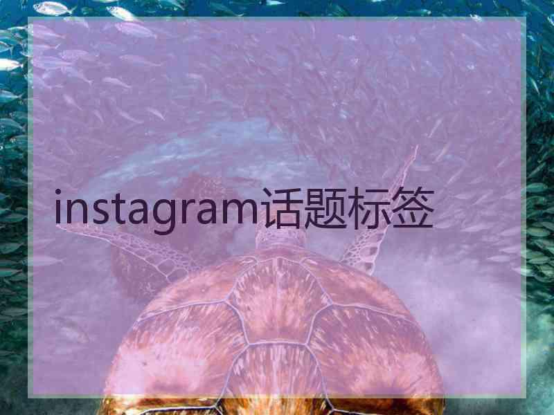 instagram话题标签