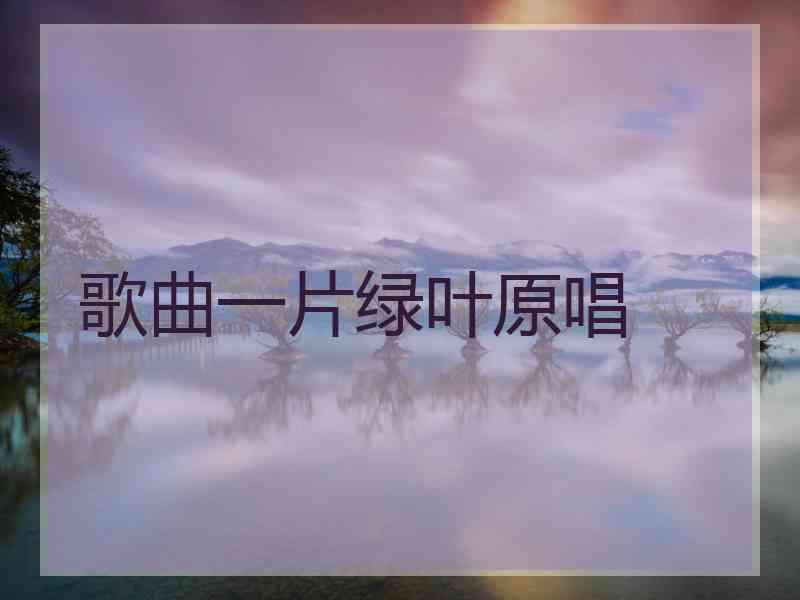 歌曲一片绿叶原唱