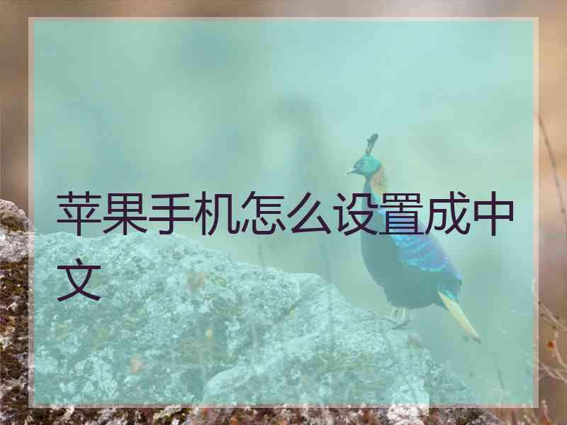 苹果手机怎么设置成中文