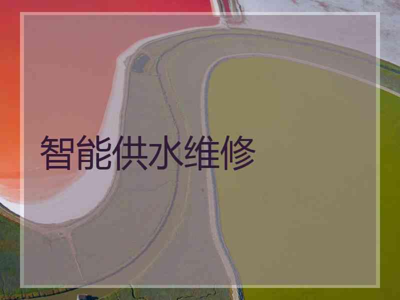 智能供水维修