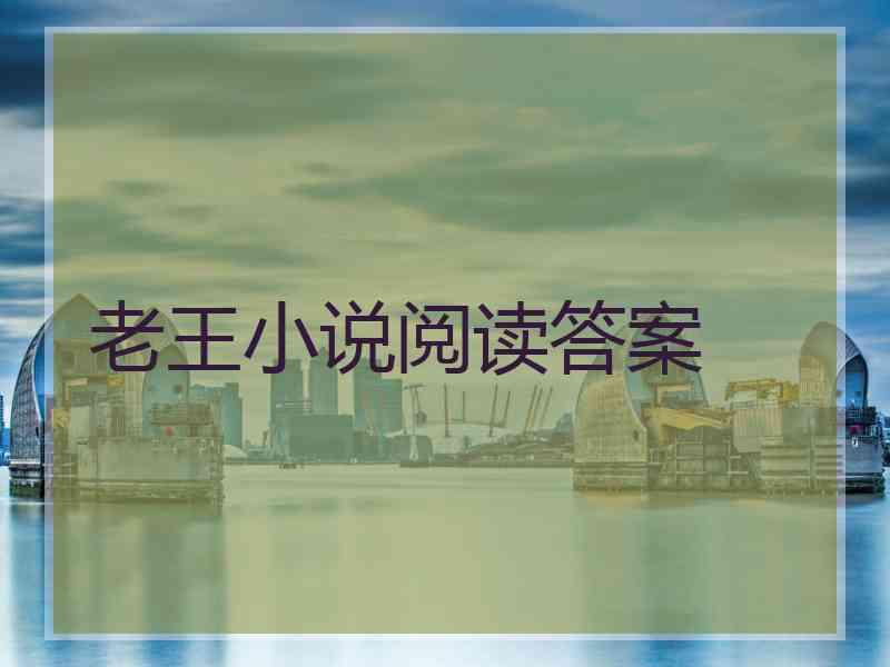 老王小说阅读答案