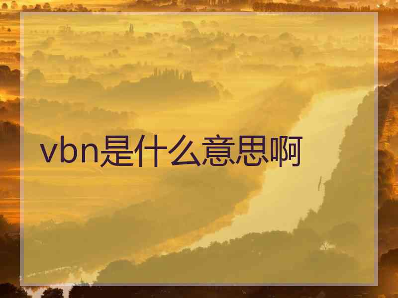 vbn是什么意思啊