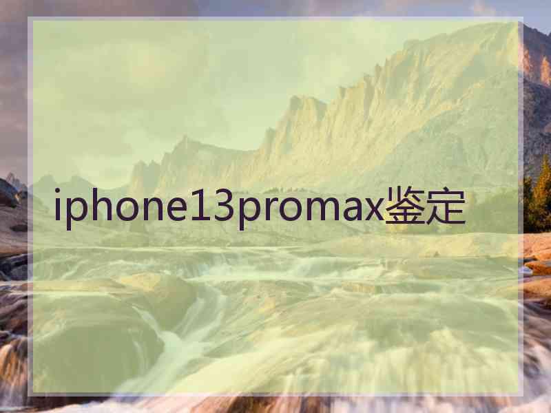 iphone13promax鉴定