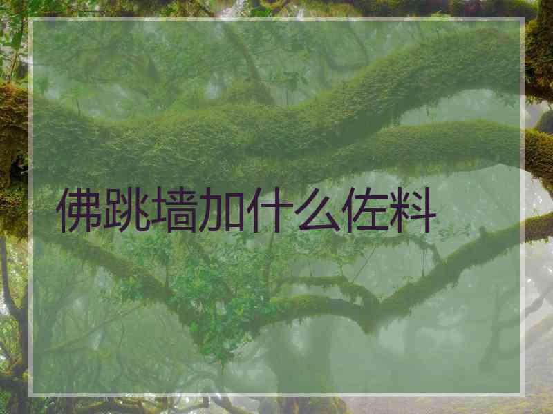 佛跳墙加什么佐料