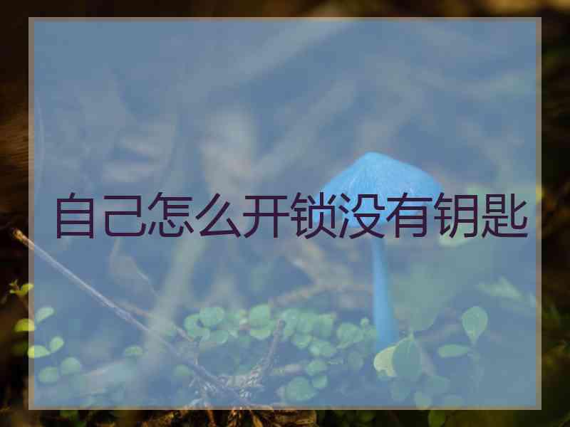 自己怎么开锁没有钥匙
