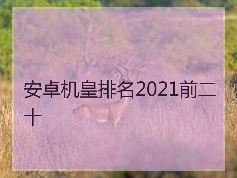 安卓机皇排名2021前二十