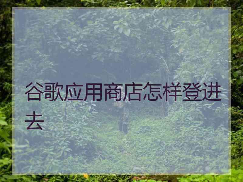 谷歌应用商店怎样登进去
