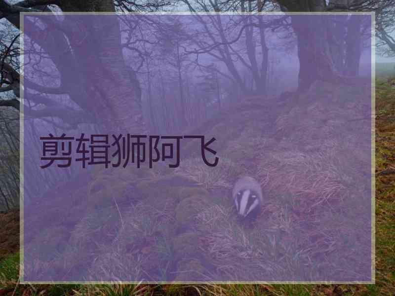 剪辑狮阿飞