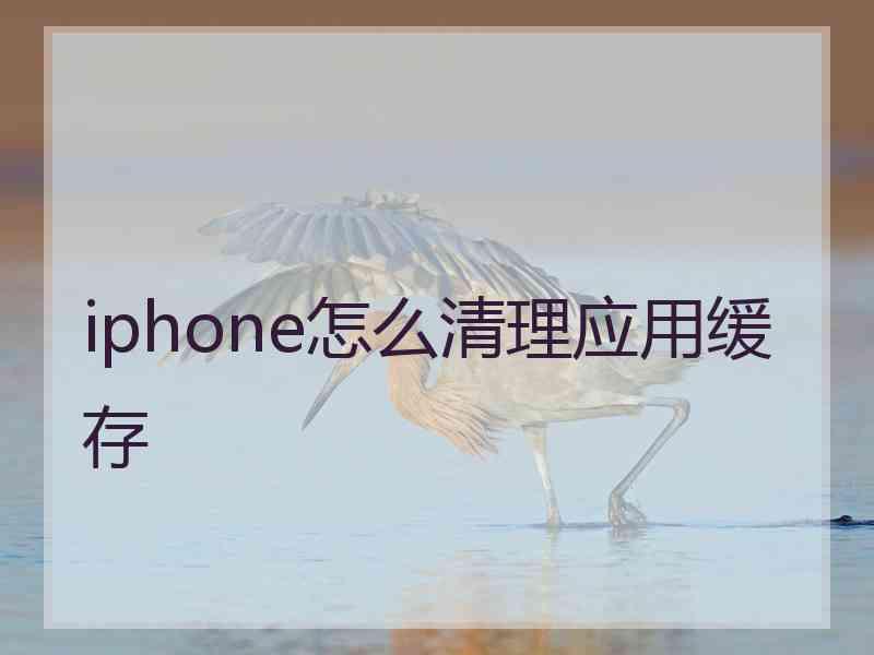 iphone怎么清理应用缓存