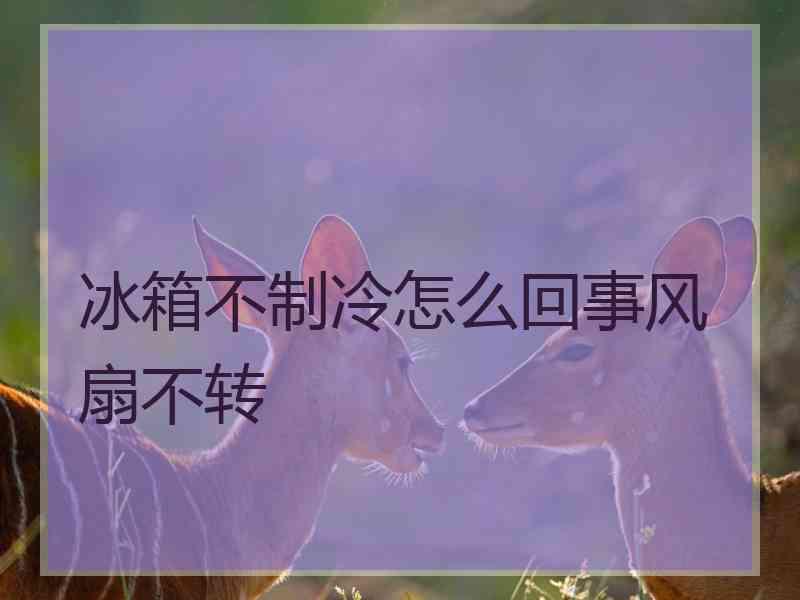 冰箱不制冷怎么回事风扇不转