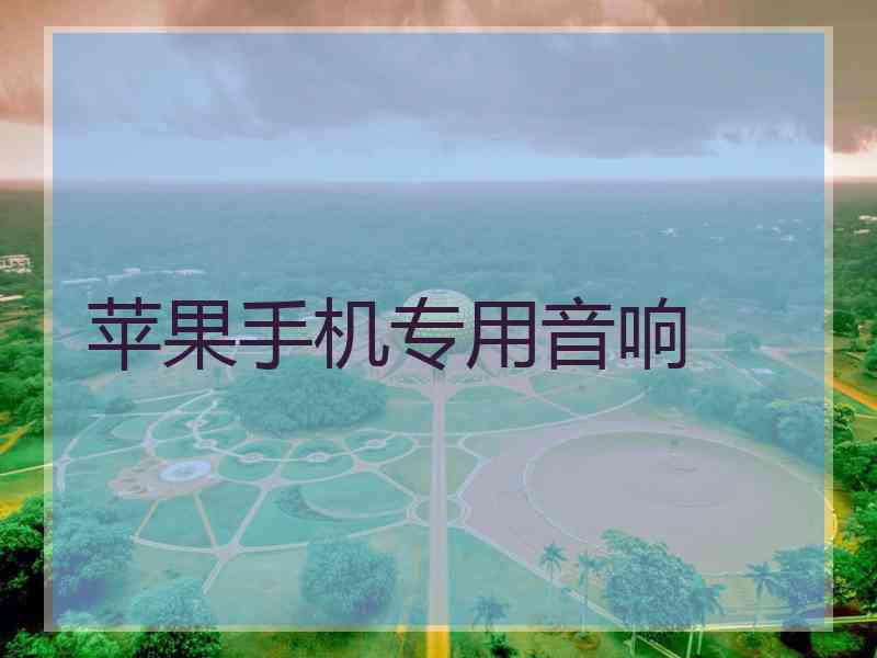 苹果手机专用音响