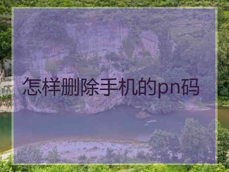 怎样删除手机的pn码