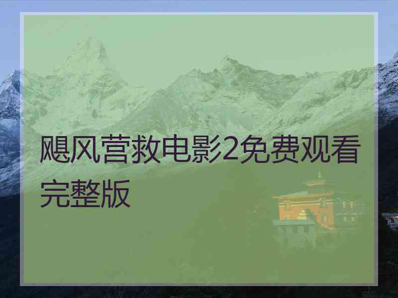 飓风营救电影2免费观看完整版