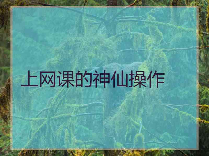 上网课的神仙操作