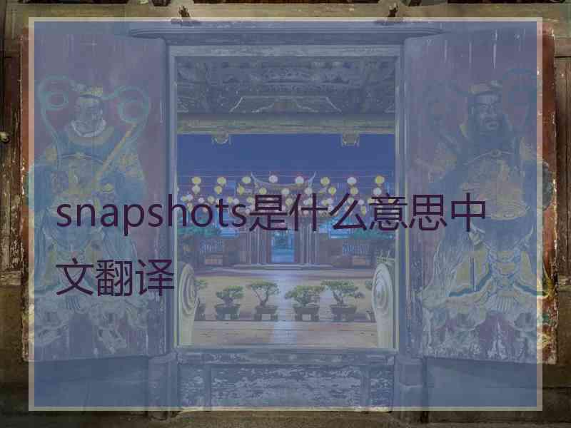 snapshots是什么意思中文翻译