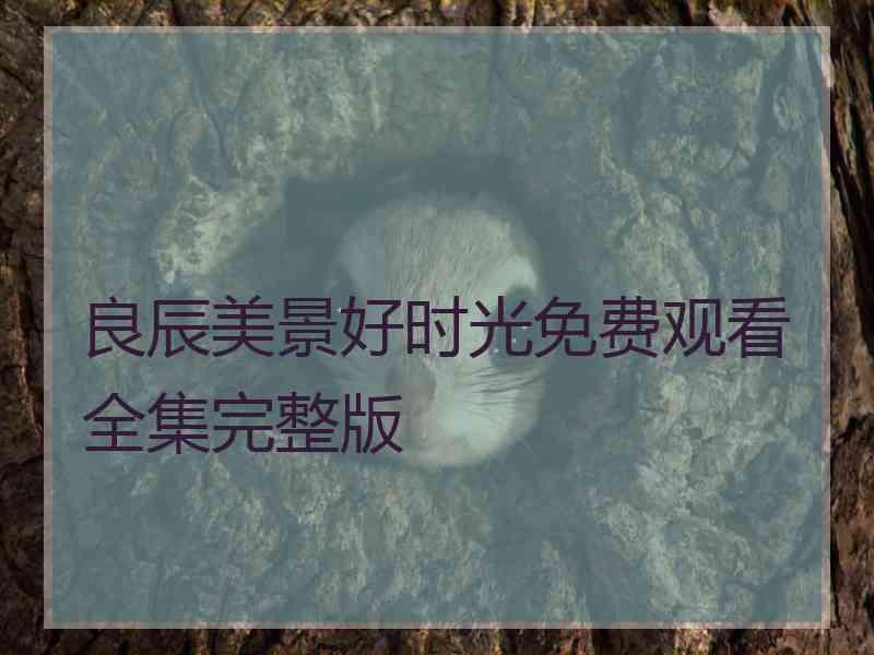良辰美景好时光免费观看全集完整版