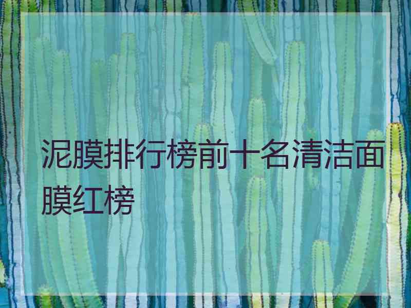 泥膜排行榜前十名清洁面膜红榜