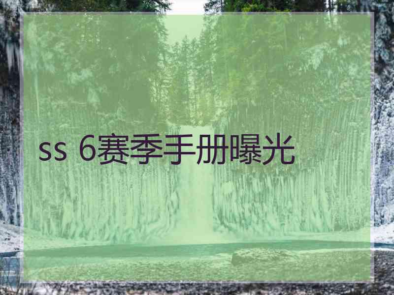 ss 6赛季手册曝光