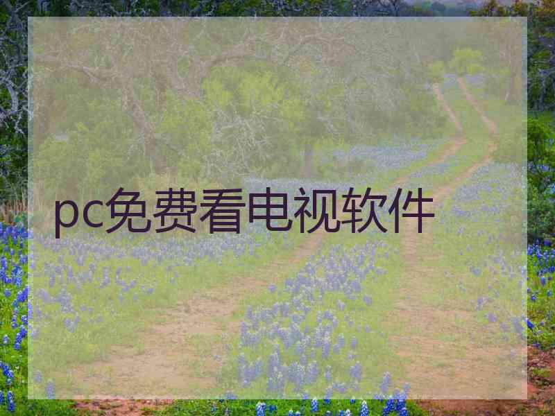 pc免费看电视软件