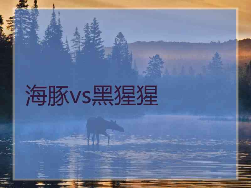 海豚vs黑猩猩