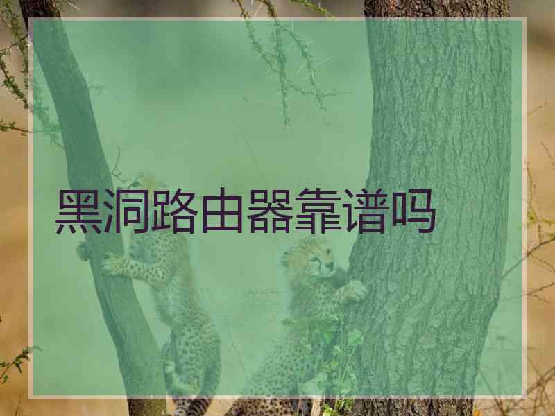 黑洞路由器靠谱吗