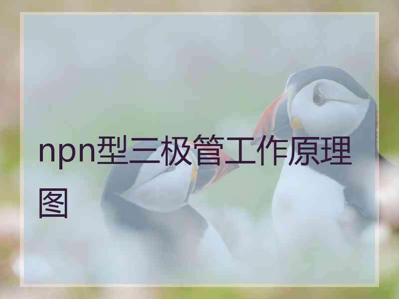 npn型三极管工作原理图