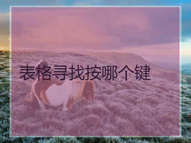 表格寻找按哪个键