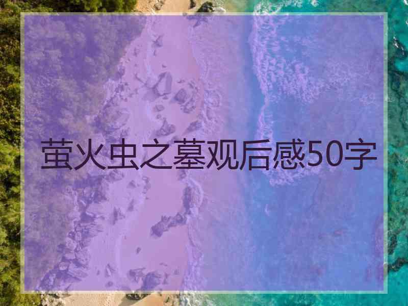 萤火虫之墓观后感50字