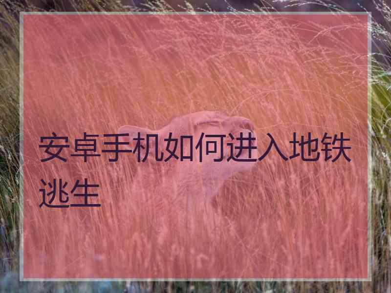 安卓手机如何进入地铁逃生