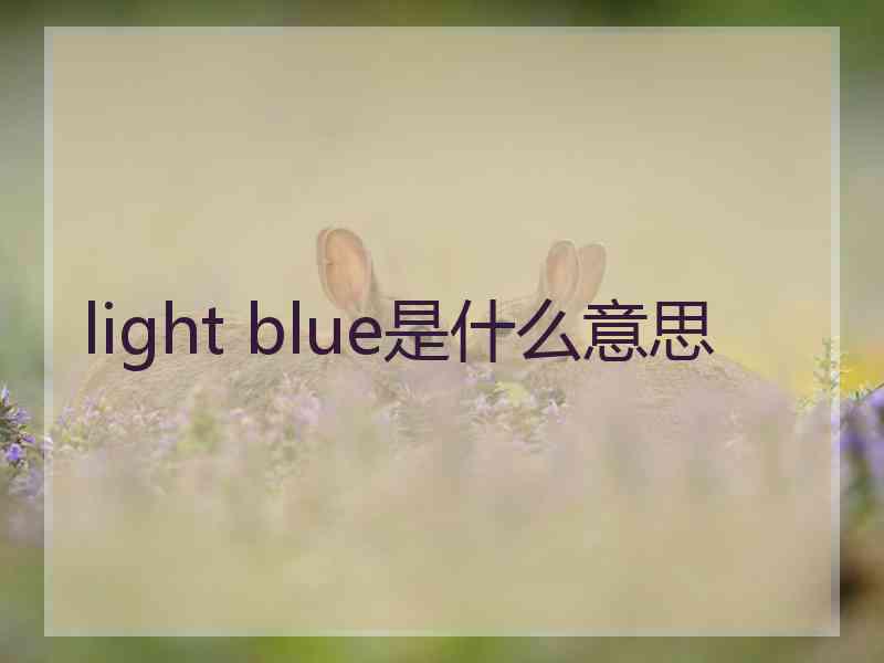 light blue是什么意思