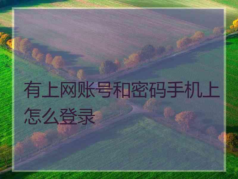 有上网账号和密码手机上怎么登录