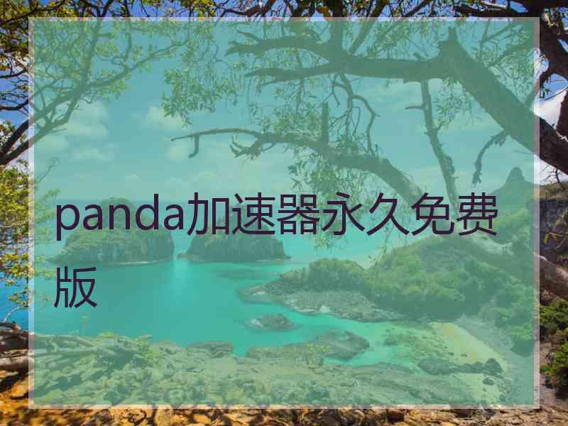 panda加速器永久免费版