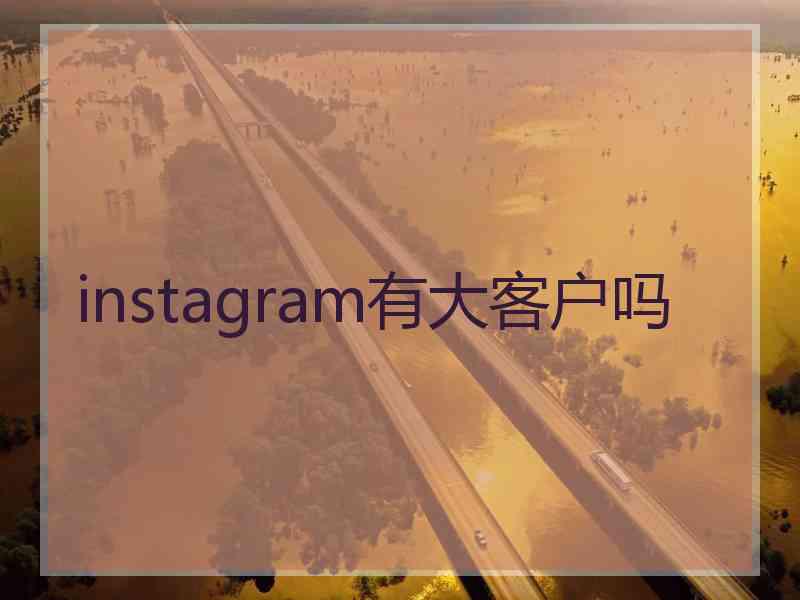 instagram有大客户吗