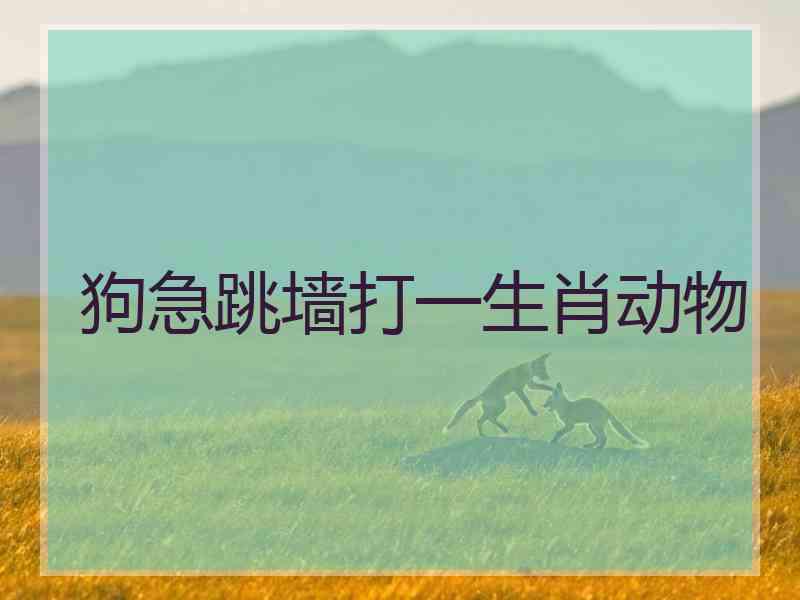 狗急跳墙打一生肖动物