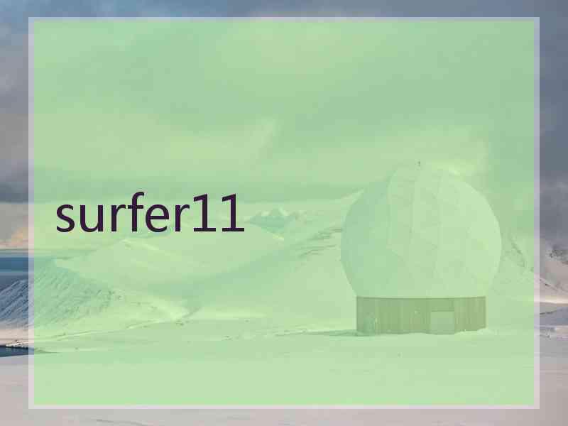 surfer11