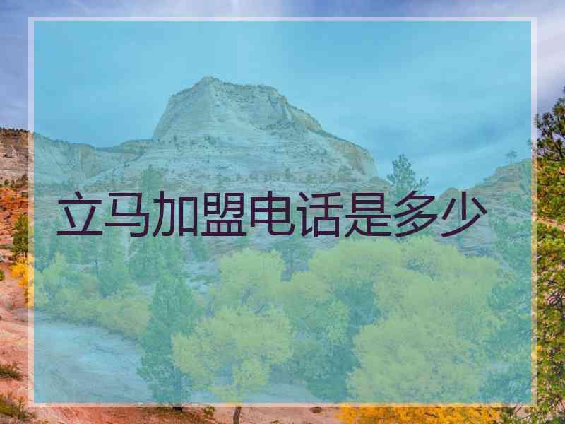 立马加盟电话是多少