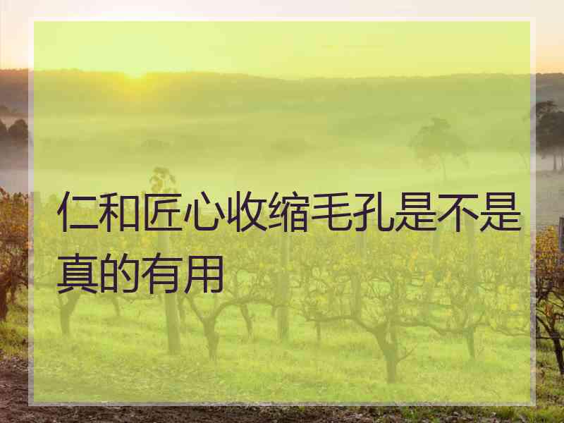 仁和匠心收缩毛孔是不是真的有用