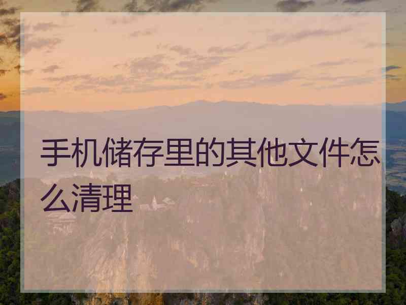 手机储存里的其他文件怎么清理