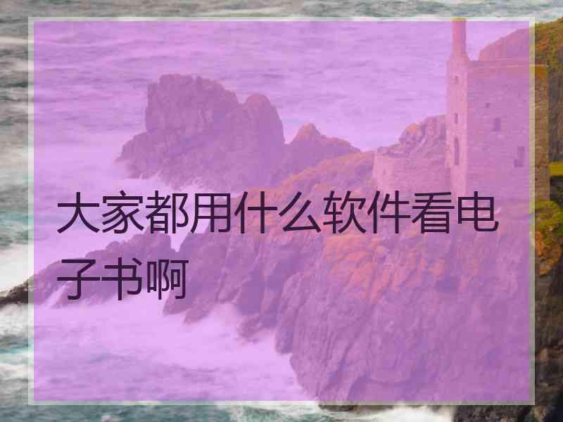 大家都用什么软件看电子书啊