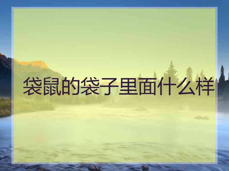 袋鼠的袋子里面什么样
