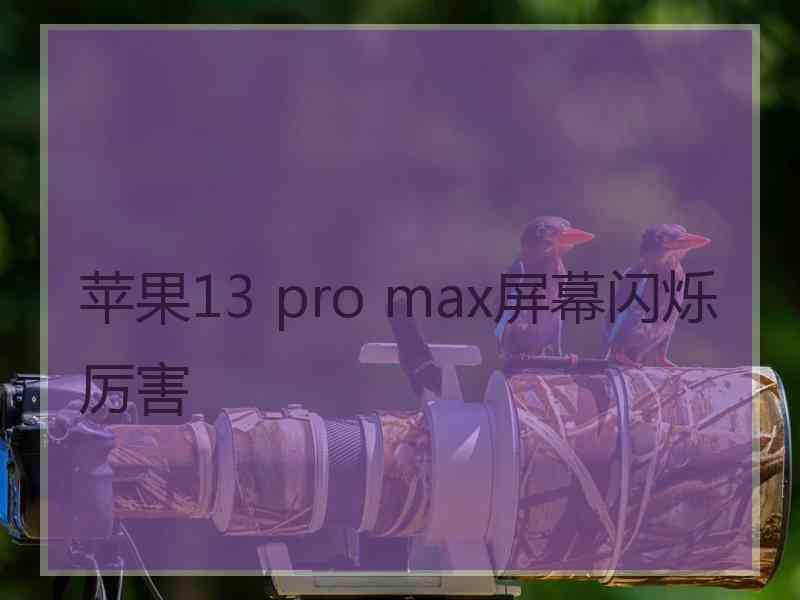 苹果13 pro max屏幕闪烁厉害